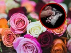 Oculto entre rosas hallan millonario cargamento de metanfetamina en Texas