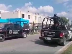 Rescatan a un león desnutrido dentro de una casa en Juárez, Nuevo León