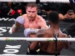 No confían en el 'Canelo'