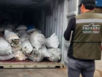 Aseguramiento histórico de casi 2.5 toneladas de aleta de tiburón en el Puerto de Ensenada