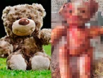 Hallazgo de osito de peluche envuelto en ‘piel humana’ en California provoca pánico 