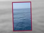 VIDEO: Rescatan a migrante nadando con flotador en el estrecho de Gibraltar