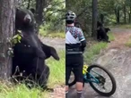 Oso negro sorprende a ciclistas en Chipinque, Nuevo León; así reaccionaron | VIDEO