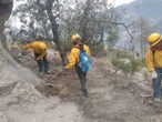 Sin lluvias… aumentan los incendios forestales en Chihuahua | VIDEO