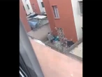 Mujer “agarra” a escobazos y moja a perrito en el patio de su casa
