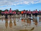 ¡Aplausos! Anillan 546 polluelos de flamenco rosado; especie 'amenazada'