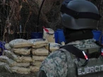 Ejército y Guardia Nacional destruyen 235 plantíos ilegales 