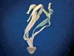 El océano vía streaming: explorar el fondo del mar… y viralizarlo