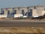 Medusas: el insólito enemigo que detuvo una de las mayores centrales nucleares