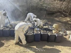 Defensa, Guardia Nacional y Marina combate producción de drogas el fin de semana  