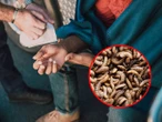 Plaga de gusano barrenador llega a Honduras: 41 casos confirmados en Humanos
