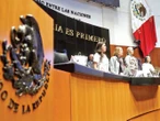 En la polémica, 25 senadores; captan los reflectores