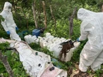 Ejército destruye un laboratorio clandestino en Michoacán