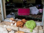 Camp Mystic: lo que debes saber del campamento de niñas en Texas arrasado por una inundación