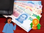 ¿Cuáles son las estrategias para ganar más dinero en Cetes? Esto debes hacer