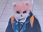 VIDEO: Chica con una máscara de gato intentaba robar en tienda... y al ser detenida, dice "Miau"