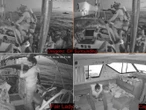 Israel inicia deportación de activistas detenidos en flotilla hacia Gaza