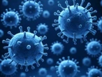 Brote de chikungunya pone en riesgo a millones: OMS