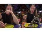VIDEO: ¡Presta! Extranjera es víctima de robo; mapache le hurta su comida
