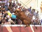 VIDEO: Toro salta a las gradas en un festejo taurino; deja dos heridos graves