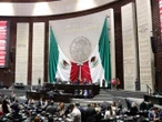 Diputados aprueban la Ley Mincho: prohíben uso de delfines y mamíferos marinos en espectáculos