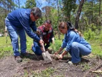 Evelyn Salgado encabeza Jornada de Reforestación en ejido de Amojileca