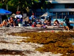 ¿En qué fechas hay más sargazo en Cancún y Playa del Carmen?