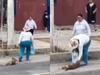 Mujer arrastra a perrita inconsciente en Pachuca y finge que todo está bien; buscan dar con ella | VIDEO