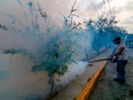 Van más de 6 mil casos de dengue en el país; 56% de ellos en 5 estados