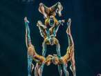 Los acróbatas del Cirque du Soleil: talento que desafía los límites 