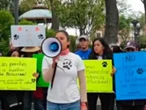 Protestan en Tlaxcala por aseguramiento ilegal de perritos callejeros; exigen transparencia