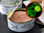 Retiran de supermercados latas de atún contaminadas con peligrosa bacteria: FDA