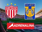 Liga MX: Necaxa vs Tigres - EN VIVO (Cuartos de Final - Ida)