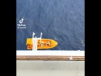 ¿Héroe o imprudente?: padre se lanza al mar tras caída de su hija en un crucero