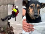 Captan heroico rescate de un perrito atrapado en un río en Nuevo León | VIDEO