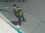 Roban flecha de la Diana Cazadora