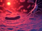 Bacteria carnívora suma 4 muertes y pone en alerta a Florida
