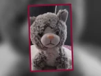 Familia fue extorsionada... para recuperar el peluche de su hijo con autismo