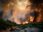 ONU alerta que incendios forestales degradan la calidad del aire global