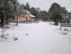 Cofre de Perote se pinta de blanco tras primera nevada 