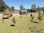 Abandonan pipas de gas LP en Tlaxcala, las 'disfrazan' con material reciclado