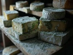 Retiran popular marca de queso por contaminación con restos de ratas y salmonella