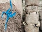 Cateo revela robo de alto volumen; 20 toneladas de botellas performa en NL