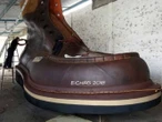 Purépero, Michoacán, busca romper récord con el zapato más grande del mundo