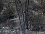 Hombre muere al intentar salvar caballos durante un incendio