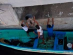 Hombre cae de un puente en Lázaro Cárdenas y sobrevive a zona infestada de cocodrilos 