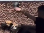 ¡Con toda su furia! Joven golpea a perro amarrado y con bozal en Tijuana; exigen justicia  | VIDEO
