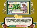 Lotería Nacional: Resultados del Sorteo Mayor 3977 del 1 de julio de 2025