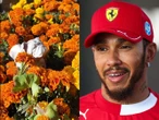 El GP de México recuerda a Roscoe, mascota de Hamilton