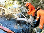 Apuran la limpieza de derrame en Veracruz; afirman que hubo respuesta rápida 